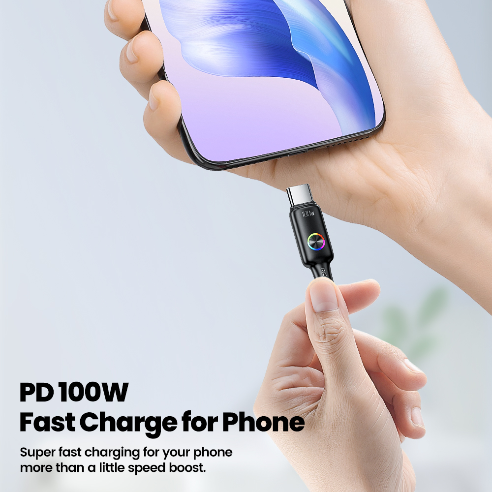 Toocki PD 100W USB C zu USB C  – Usb Data Cable Bewertung und Preis